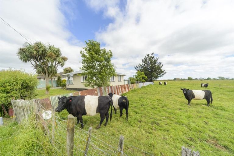 Photo of property in 26 Princess Street, Marton, 4710