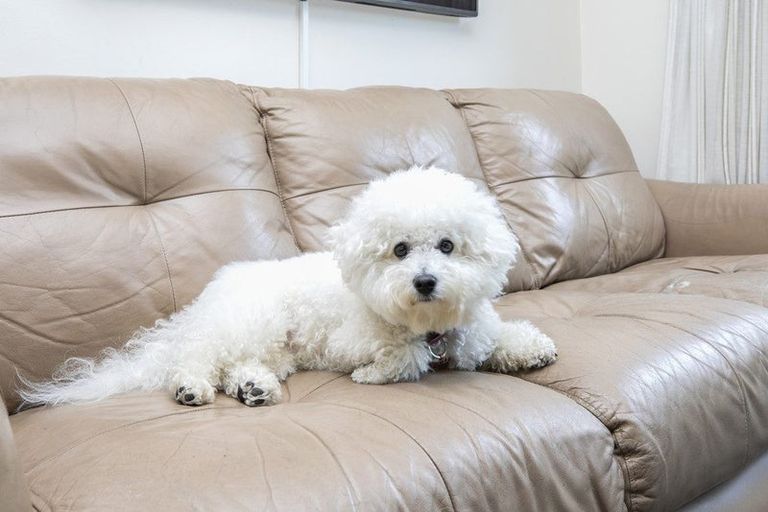 Photo of property in 8/16 Derby Street, St Albans, Christchurch, 8014