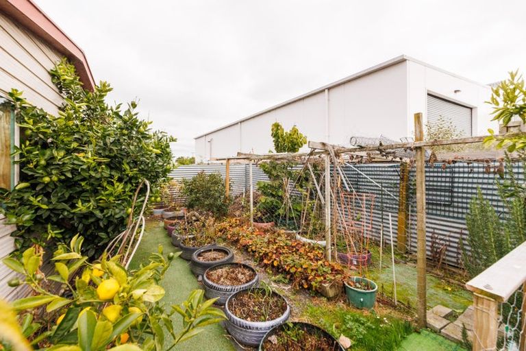 Photo of property in 44 Rugby Street, Awapuni, Palmerston North, 4412