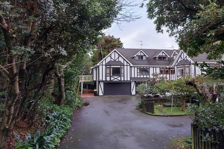 Photo of property in 123 Coromandel Street, Newtown, Wellington, 6021