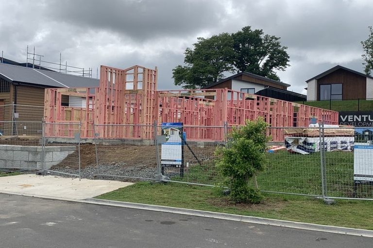 Photo of property in 21 Halo Green, Peacocke, 3206