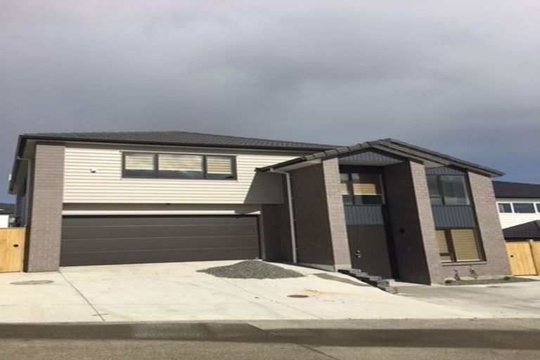 Photo of property in 30 Lime Hill Rise, Flat Bush, Auckland, 2019