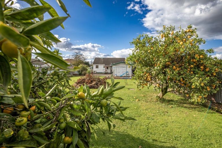 Photo of property in 21 Bibby Street, Waipawa, 4210