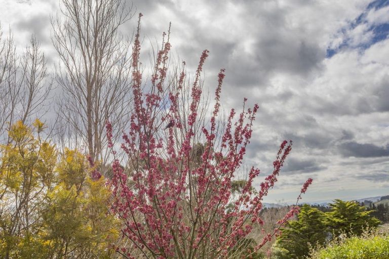 Photo of property in 99 Ireland Road, Waipawa, Otane, 4277