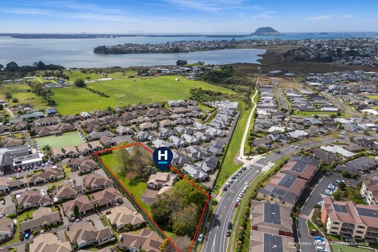 Photo of property in 123 Carmichael Road, Bethlehem, Tauranga, 3110