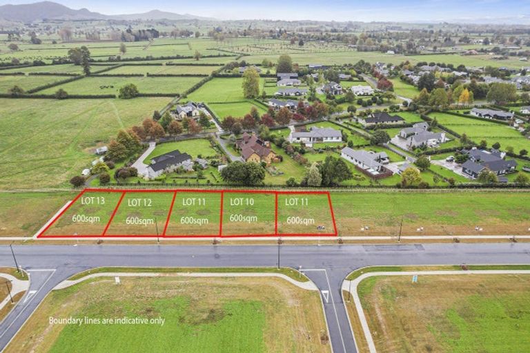 Photo of property in 40 Peakedale Drive, Matamata, 3400
