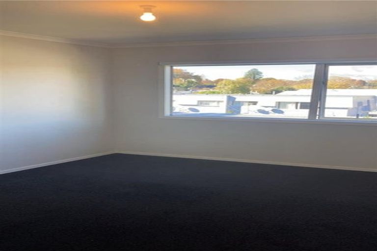 Photo of property in 29d Opoia Road, Hamilton East, Hamilton, 3216