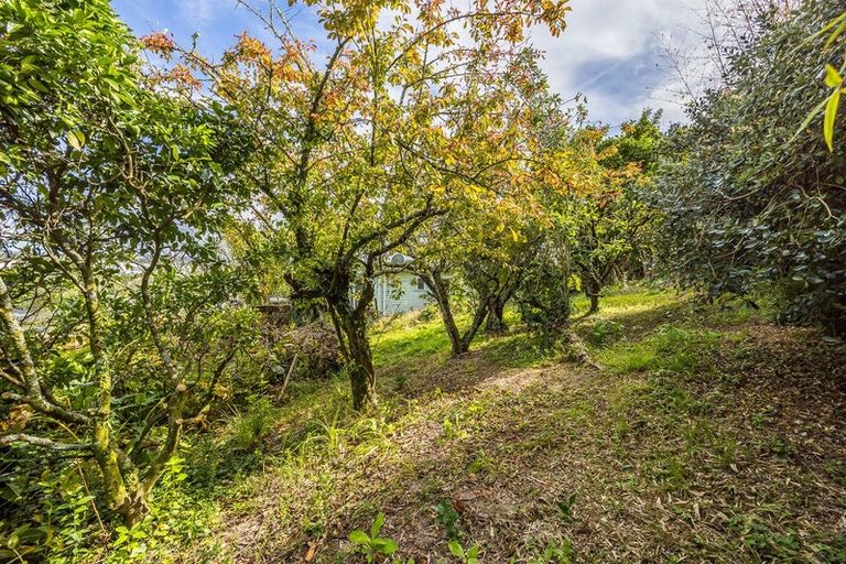 Photo of property in 10 Seymour Road, Sunnyvale, Auckland, 0612