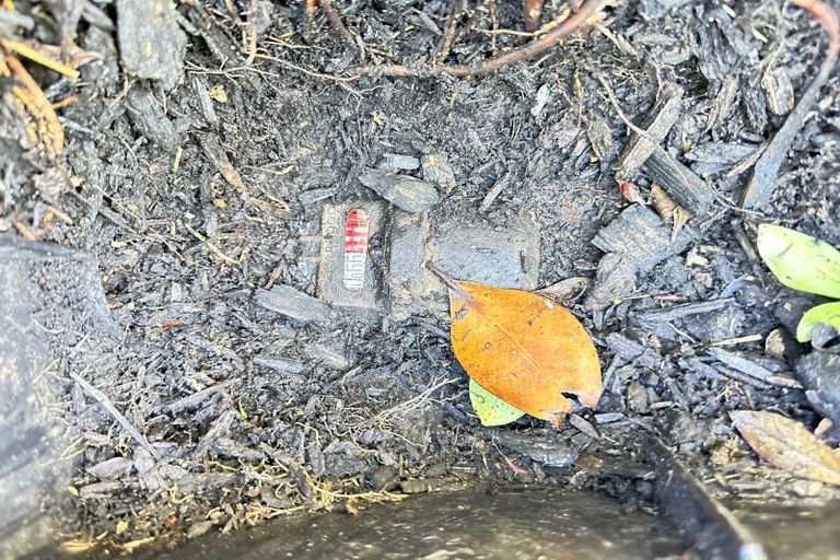 Photo of property in 60 Hewlett Road, Massey, Auckland, 0614