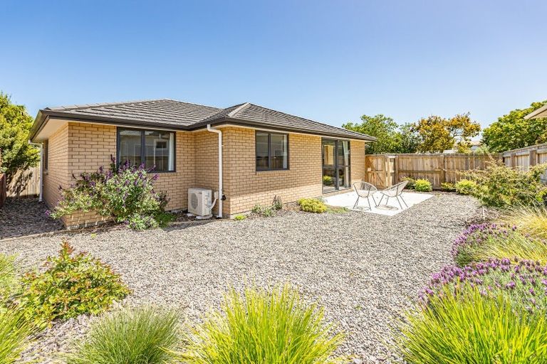 Photo of property in 26b Caius Avenue, Gonville, 4501