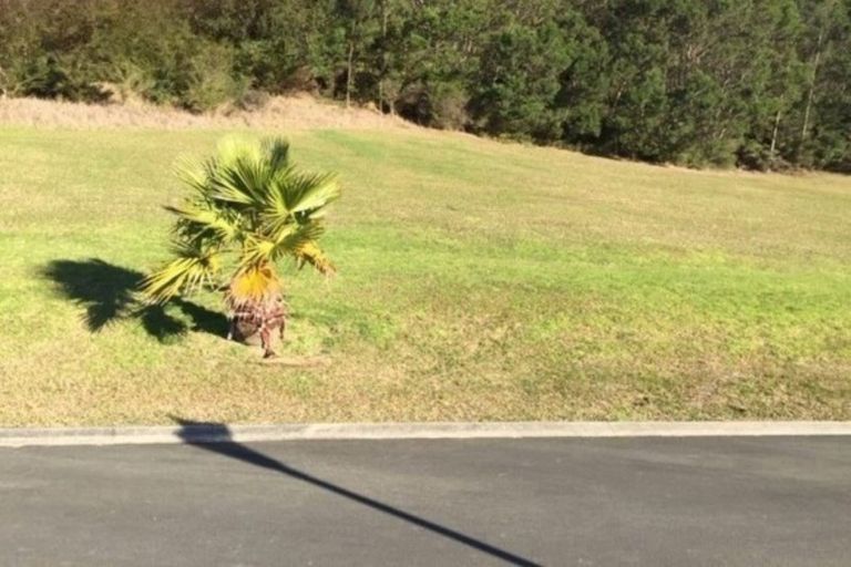 Photo of property in 65 Pinehurst Drive, Pauanui, Hikuai, 3579