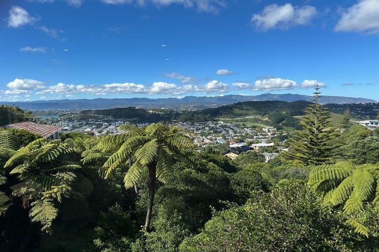 Photo of property in 167 The Ridgeway, Mornington, Wellington, 6021