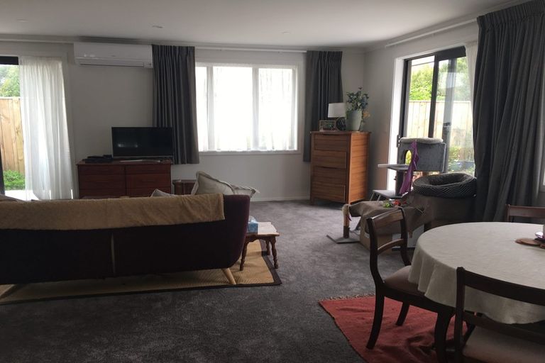 Photo of property in 11a Newhaven Place, Roslyn, Palmerston North, 4414