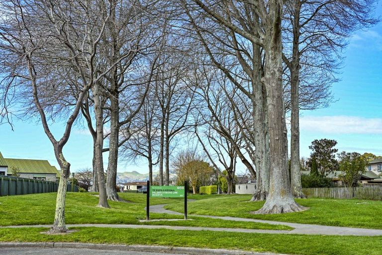 Photo of property in 8 Palmer Place, Parkvale, Hastings, 4122