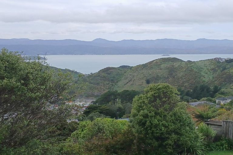 Photo of property in 46 Rajkot Terrace, Broadmeadows, Wellington, 6035