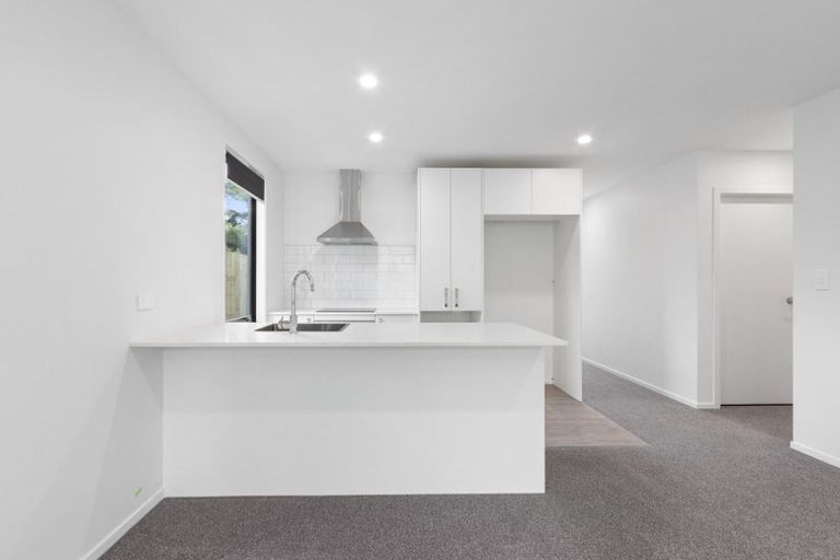 Photo of property in 155u4 Rimu Street, Maeroa, Hamilton, 3200