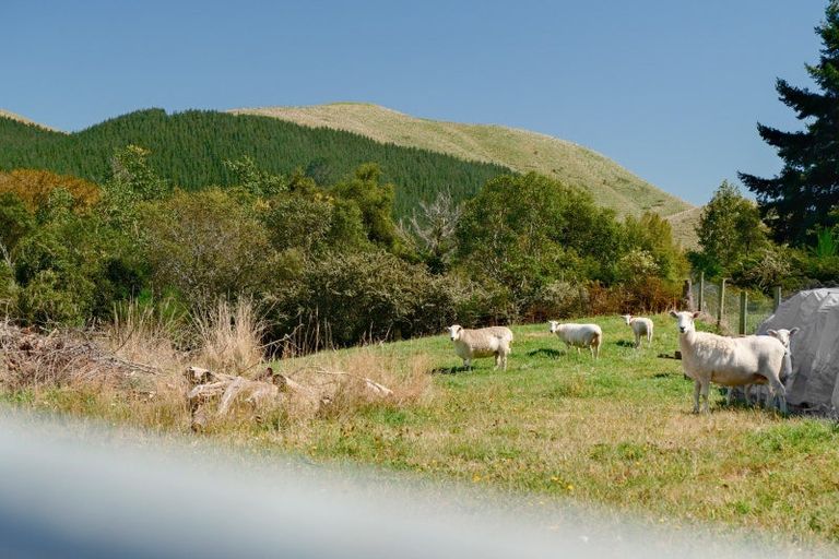 Photo of property in 878 Te Kopia Road, Waikite Valley, Rotorua, 3077