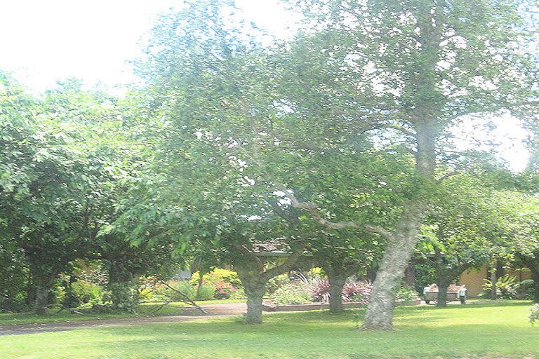 Photo of property in 854 No 1 Road, Te Puke, 3182