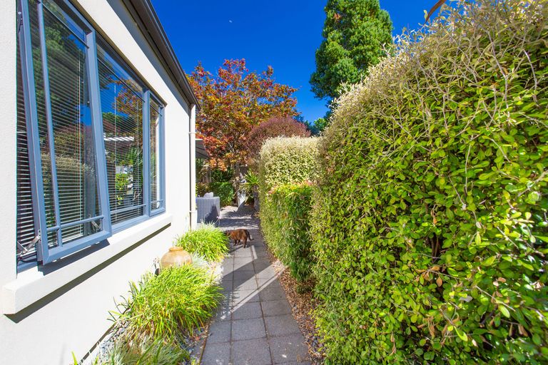 Photo of property in 32a Horne Street, Hamilton Central, Hamilton, 3204