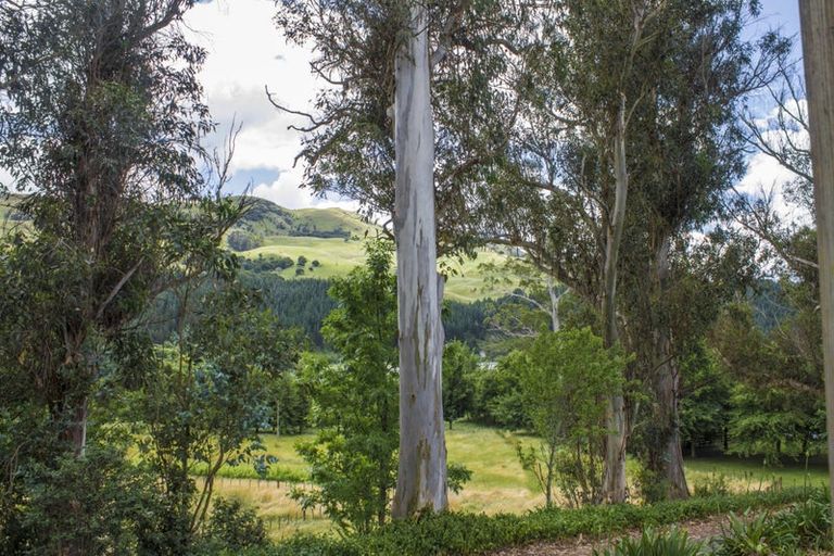 Photo of property in 211 Rochfort Road, Kahuranaki, Havelock North, 4295