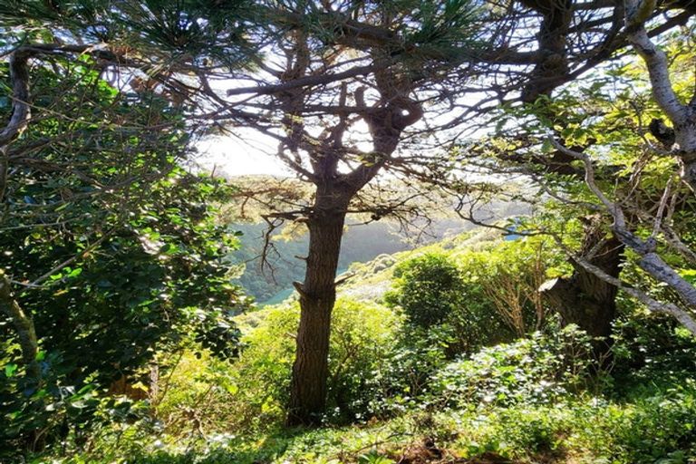 Photo of property in 30 Mark Avenue, Paparangi, Wellington, 6037