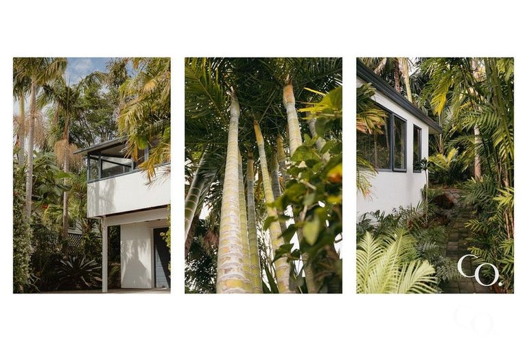 Photo of property in 19 Matawha Way, Brookfield, Tauranga, 3110