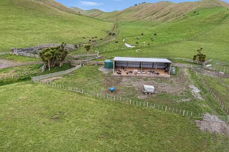 Photo of property in 246 Hopelands Road, Woodville, 4997