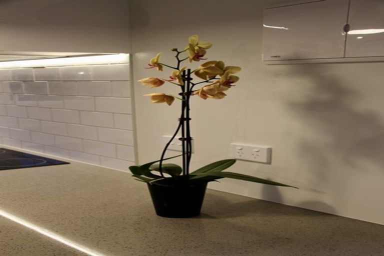 Photo of property in 2/75 Birkdale Road, Birkdale, Auckland, 0626