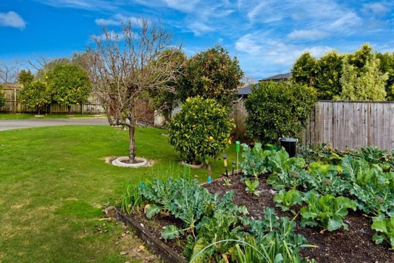 Photo of property in 52 Rame Road, Greenhithe, Auckland, 0632