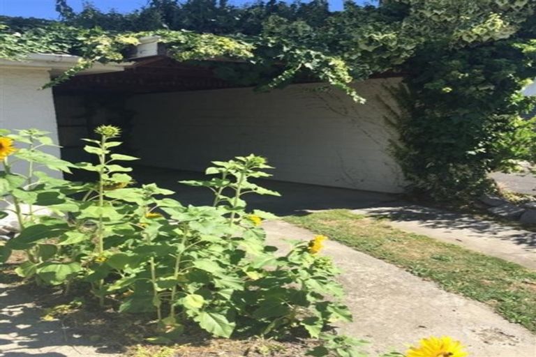 Photo of property in 8 Barratt Street, Blenheim, 7201