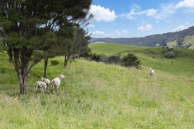 Photo of property in 1214 Oruru Road, Peria, Kaitaia, 0482