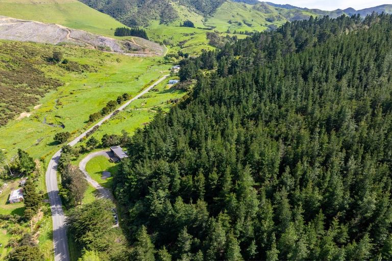 Photo of property in 90 Hoeke Road, Carrington, Carterton, 5791