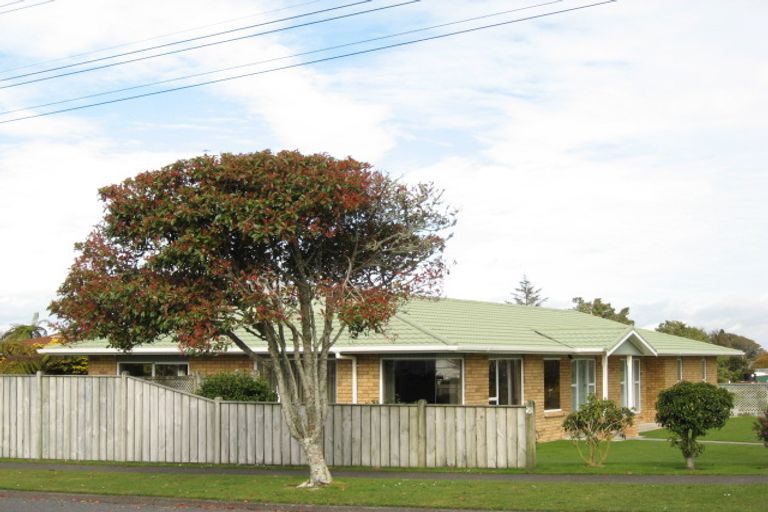 Photo of property in 51 Pembroke Road, Stratford, 4332