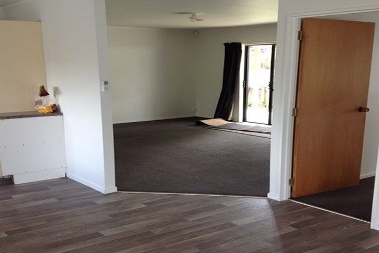 Photo of property in 77 Nixon Street, Hamilton East, Hamilton, 3216