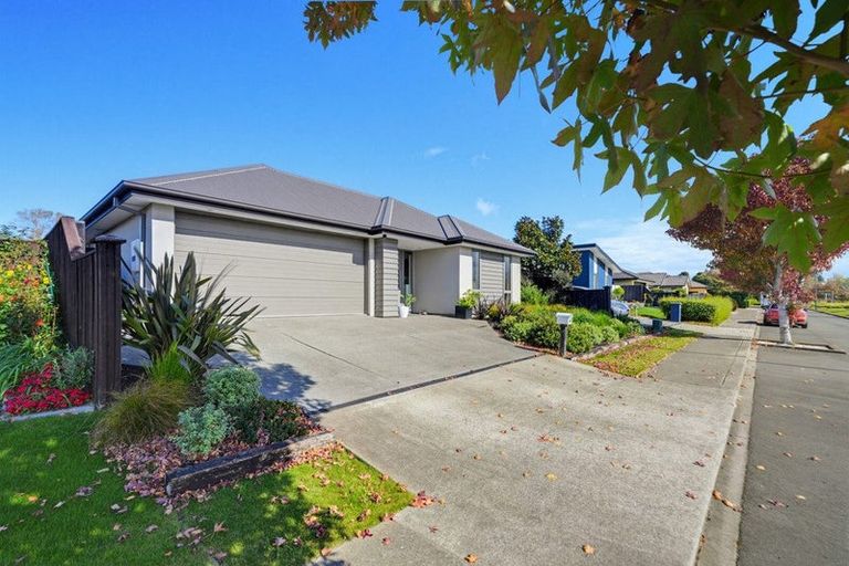 Photo of property in 55 Tutaipatu Avenue, Pegasus, 7612