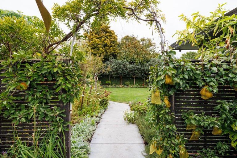 Photo of property in 23 North Street, Palmerston North, 4410