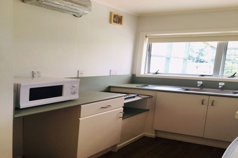 Photo of property in 20 Tilden Avenue, Hillcrest, Auckland, 0627