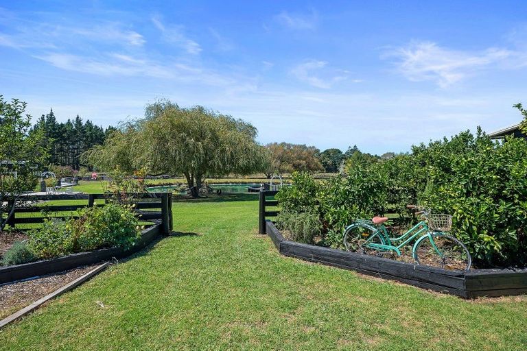 Photo of property in 240 Mill Flat Road, Riverhead, 0793