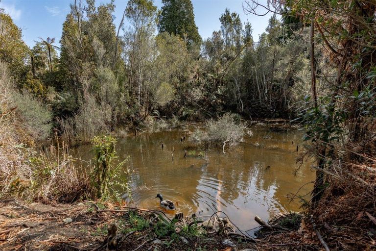 Photo of property in 167 Darkies Terrace Road, Charleston, Cape Foulwind, 7892