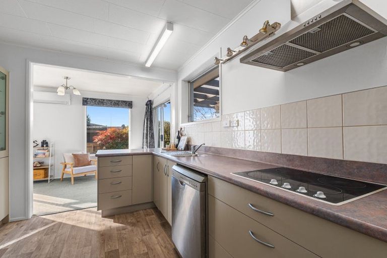 Photo of property in 24 Windsor Street, Springfield, Rotorua, 3015