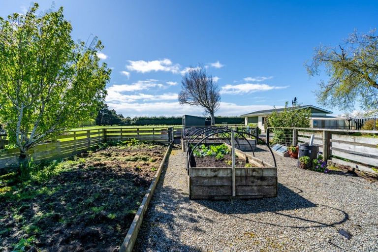 Photo of property in 719 Ryal Bush Wallacetown Road, Wallacetown, Invercargill, 9874