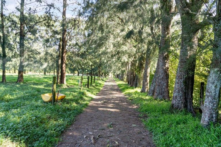 Photo of property in 486 Esdaile Road, Whakamarama, Tauranga, 3180
