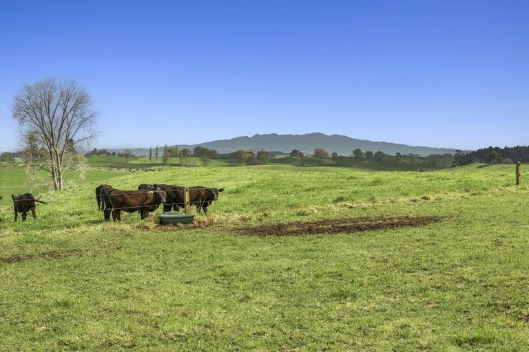 Photo of property in 557 Wiltsdown Road, Wiltsdown, Putaruru, 3482