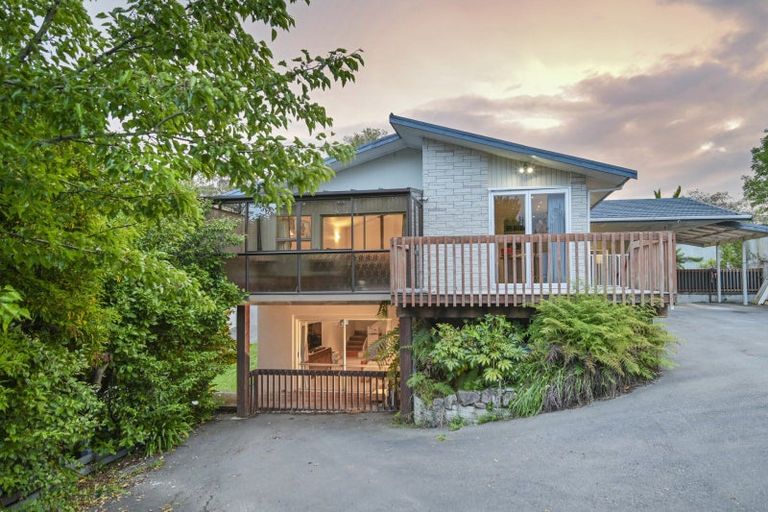 Photo of property in 60 Mchardy Street, Havelock North, 4130
