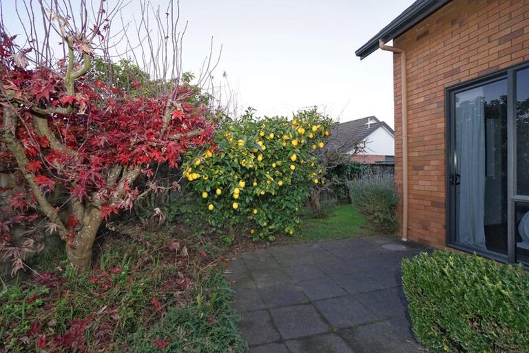 Photo of property in 62 Saint James Drive, Huntington, Hamilton, 3210