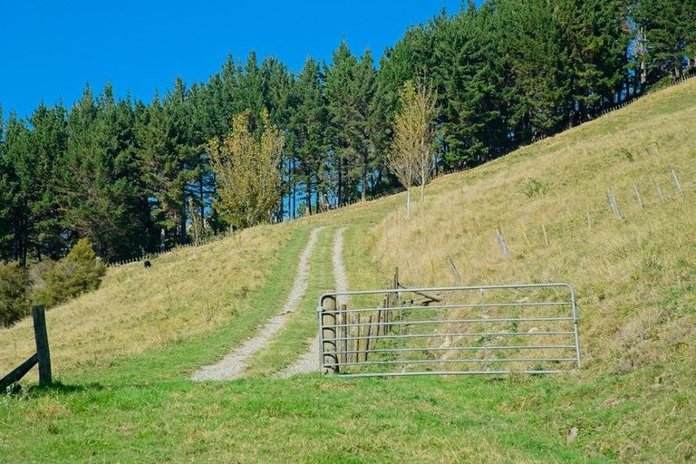 Photo of property in 1215 Wharekopae Road, Ngatapa, Gisborne, 4072