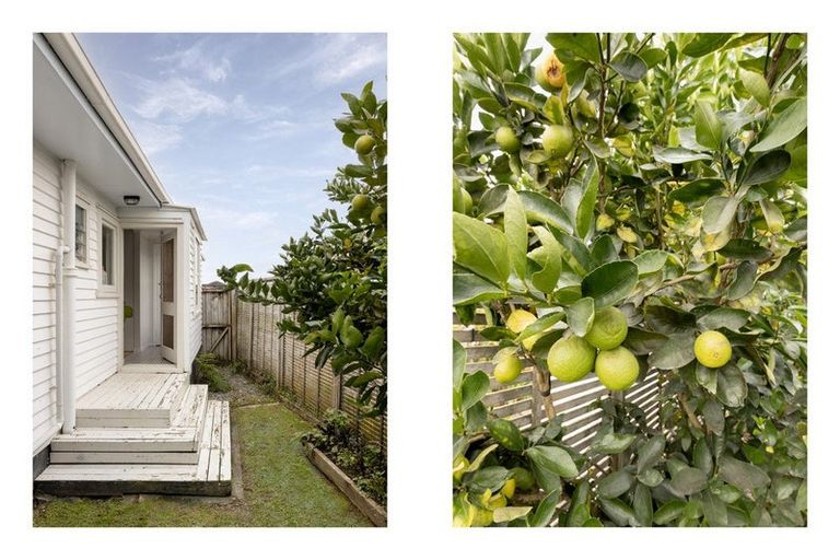 Photo of property in 71 Henderson Street, Whakatane, 3120