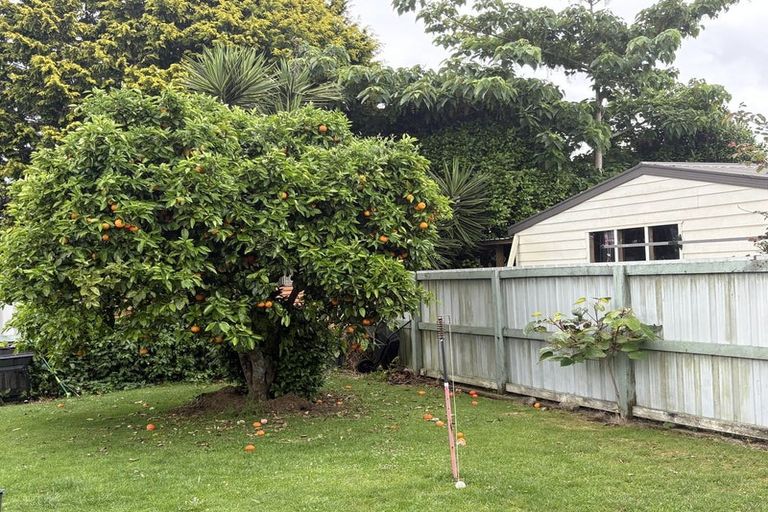 Photo of property in 33b Carisbrooke Street, Katikati, 3129