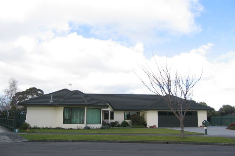 Photo of property in 16 Tudor Grove, Feilding, 4702