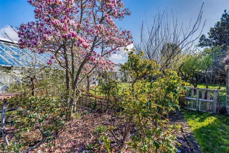 Photo of property in 228a Opawa Road, Hillsborough, Christchurch, 8022